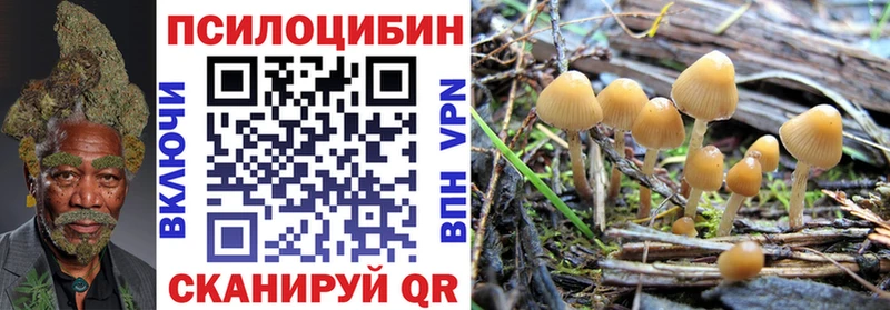 Псилоцибиновые грибы Magic Shrooms  где найти   Городец 